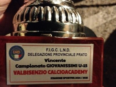 Festa per i 2010
